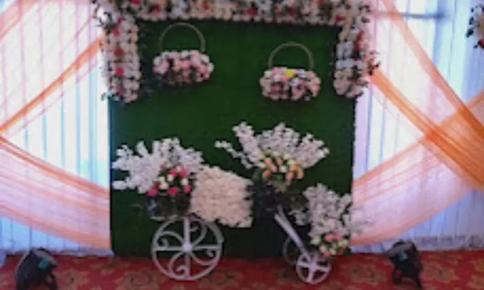 Wedlocks Wedding Planners Chandigarh